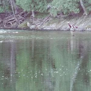 Meet your Posher, Martin